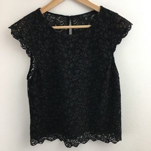 Talula | Black Lace Cap Sleeve Top